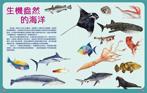 什麼魚|《世界上有哪些魚？ 》 太平洋的魚類與海洋生物